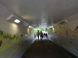 Tn DSC 5511
