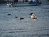 Tn DSC 5547